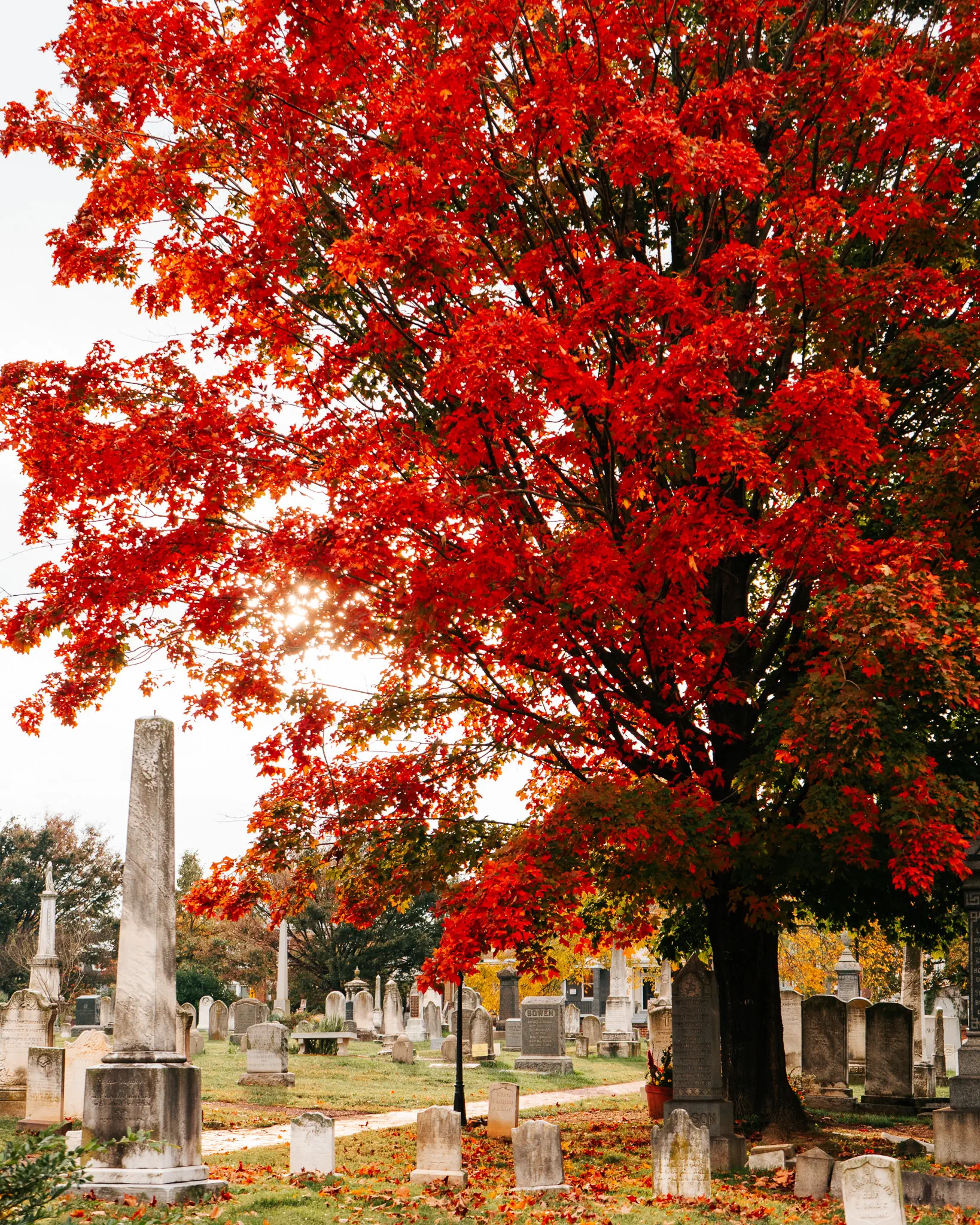 Congressional-autumn-2