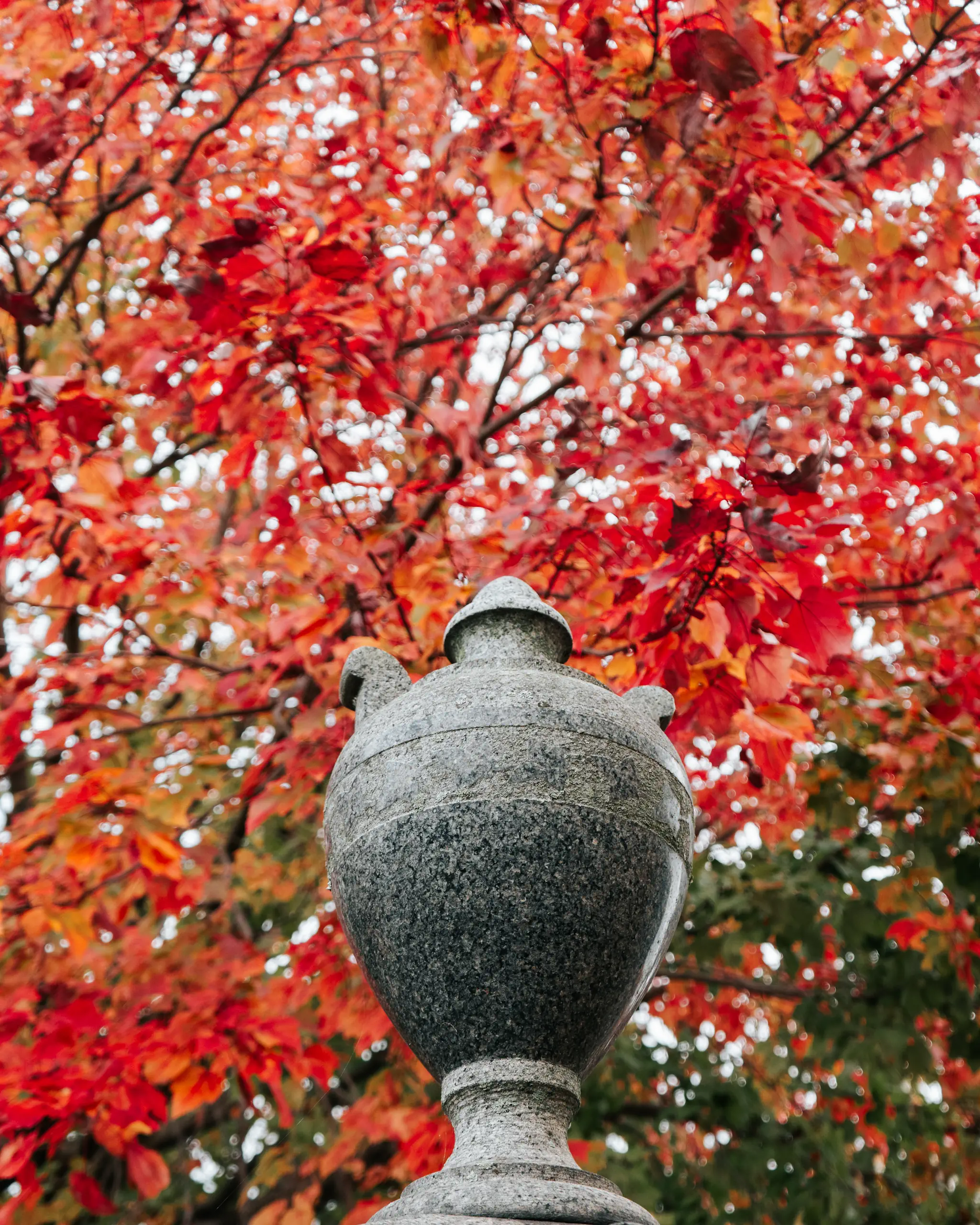 Congressional-autumn-urn