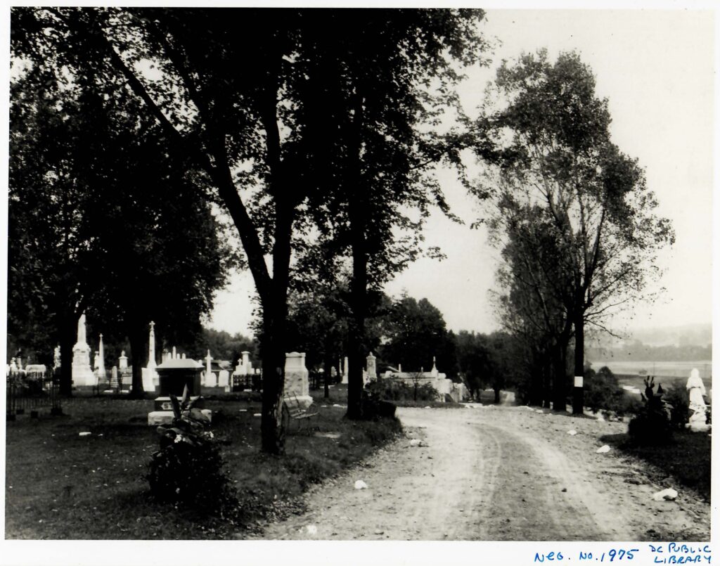 Black and white image view down a dirt road with trees and graves