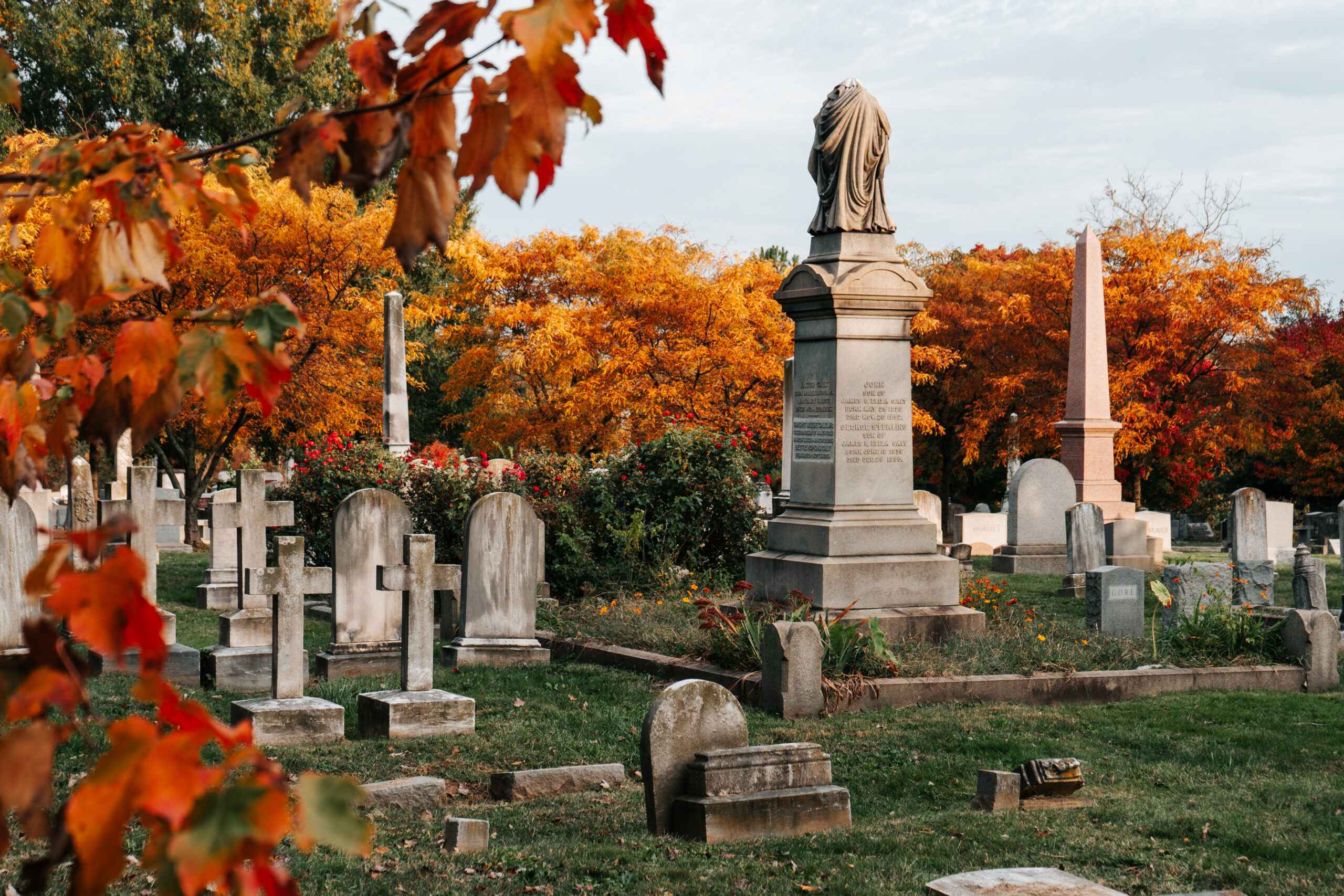 Our Wish List for Fall 2026